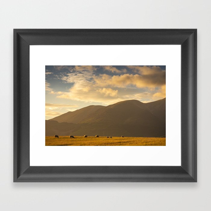 Sheep grazing in the Lake District, England Framed Art Print