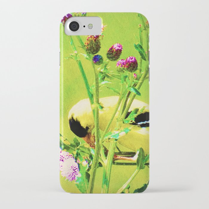 society6