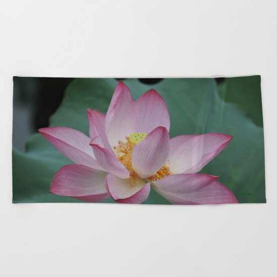 Hangzhou Lotus Beach Towel