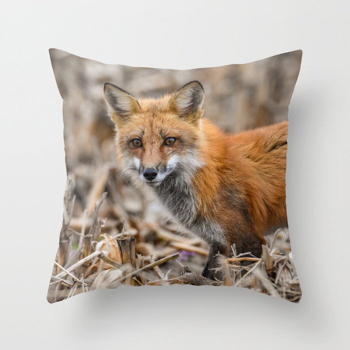 Red Foxy Fox Throw Pillow