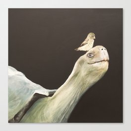 Tortoise and Finch Canvas Print