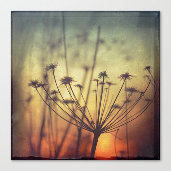 last dance Canvas Print
