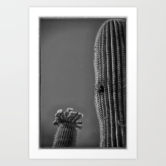 Saguaro in Bloom V1 Art Print