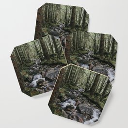 The Fairytale Forest - Landscape and Nature Photography Coaster