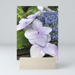 Beautiful Blue Flower in Nature Mini Art Print