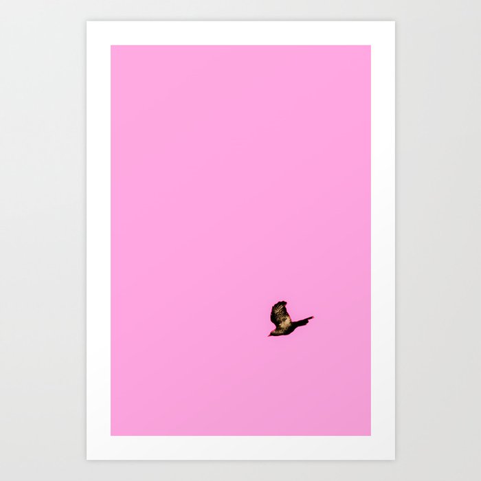 Free Bird5 Art Print By Julian Bound | Society6