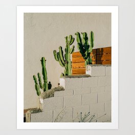Cactus Gang | California Travel Photography Art Print