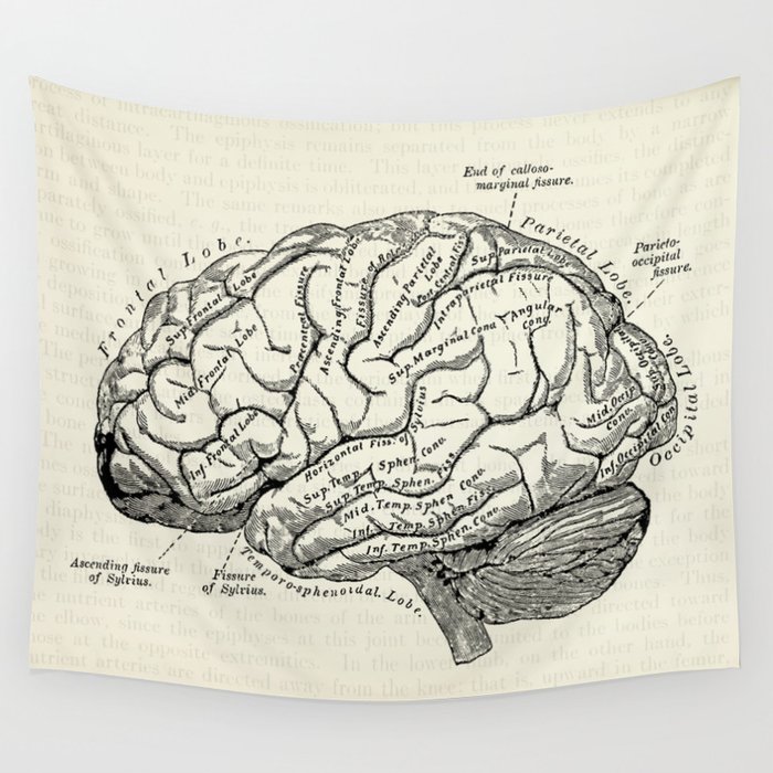 Vintage medical illustration of the human brain Wall Tapestry