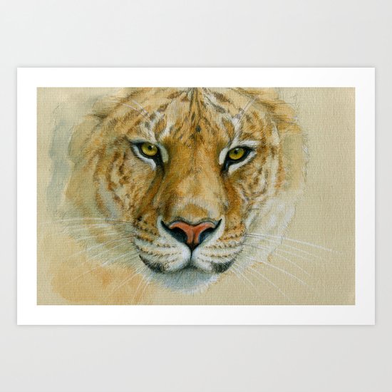 Liger CC007 Art Print