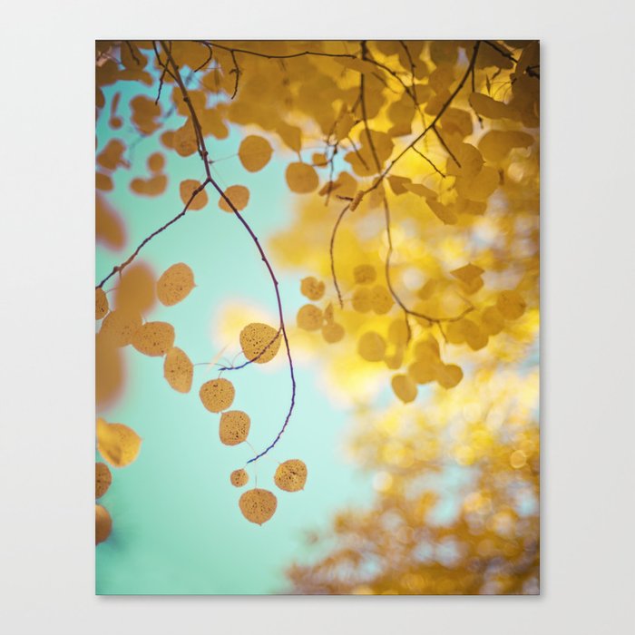 nature's gold Canvas Print