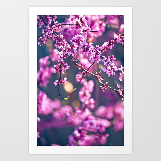 Spring has come 4 Art Print
