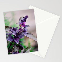 5136Bee Stationery Cards