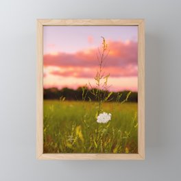 Wildflower 2 Framed Mini Art Print