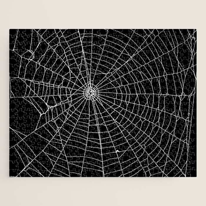 Spider Spider Web Art Print by Zeljkica | Society6