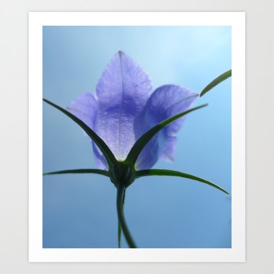 Shining Through Art Print