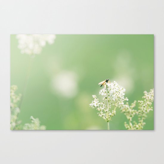 Bee on Flower Canvas Print