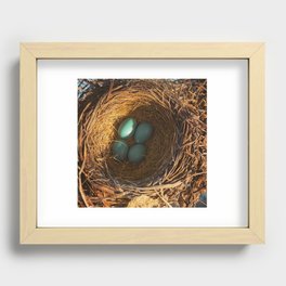Robin Egg Nest Recessed Framed Print