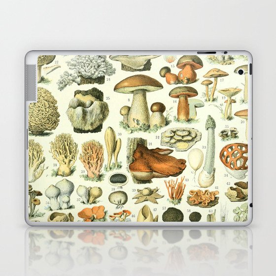Mushrooms Vintage Illustration Laptop & iPad Skin