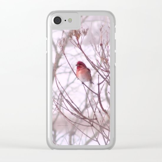 Purple Finch Clear iPhone Case