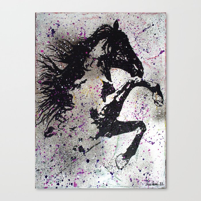Wild Horse Canvas Print