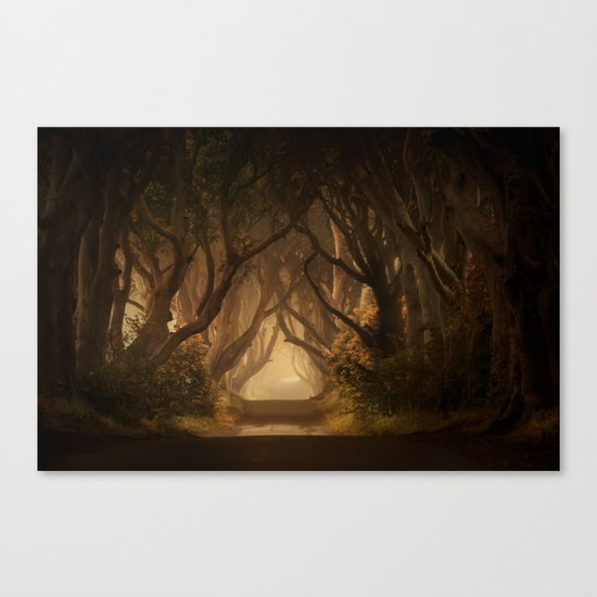 Sunny morning at Dark Hedges Canvas Print