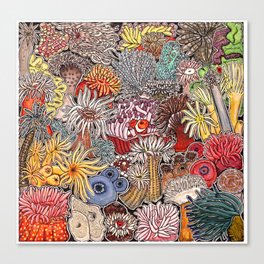 Clown fish and Sea anemones Canvas Print