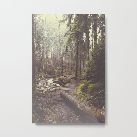 The paths we wander Metal Print