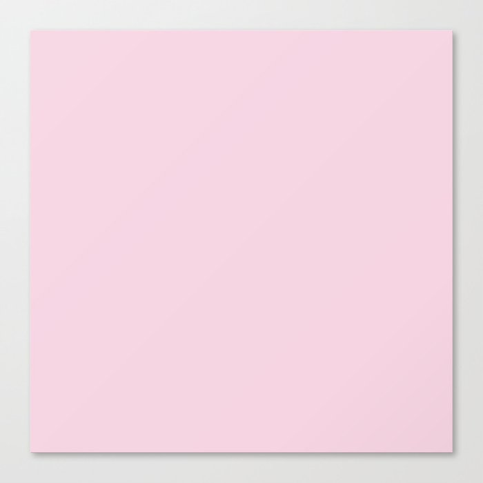 Warm Pink Canvas Print