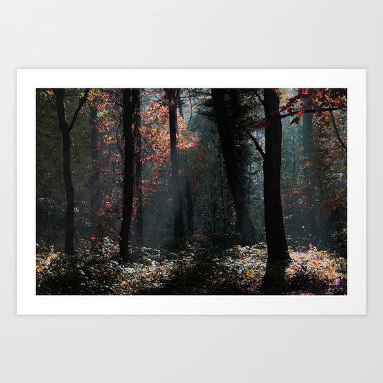 November Sun Art Print