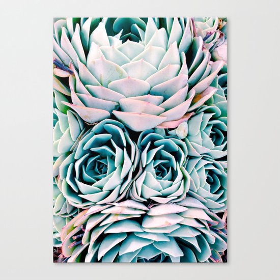 Pastel Paradise Canvas Print