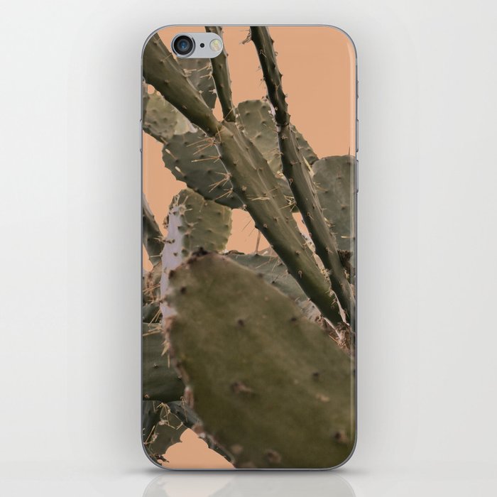 Cactus II iPhone Skin