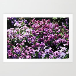 Purple Romantic Flowers Art Print
