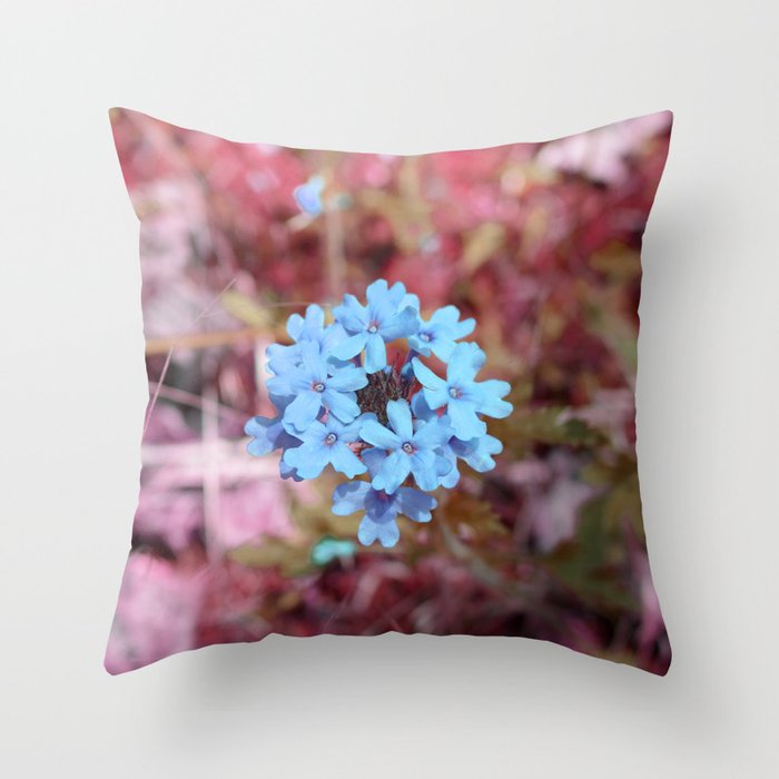 Blue Flowers, Red Thorns ~ Cedars of Lebanon, Tennessee Throw Pillow