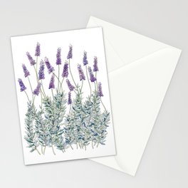 Lavender, Illustration Stationery Card