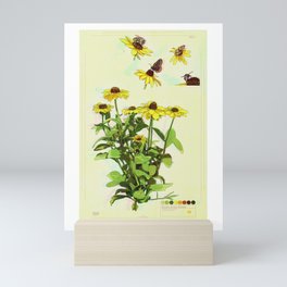 Black Eyed Susan and Her Pollinators Collection TRIPPY Mini Art Print