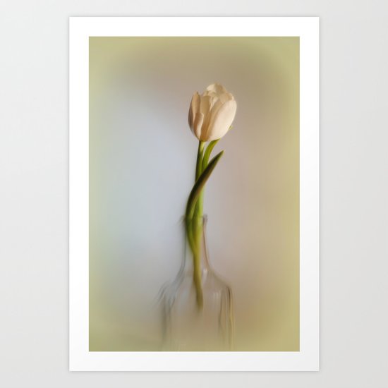 Weisse Tulpe Art Print