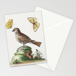 Vintage bird illustration Stationery Card