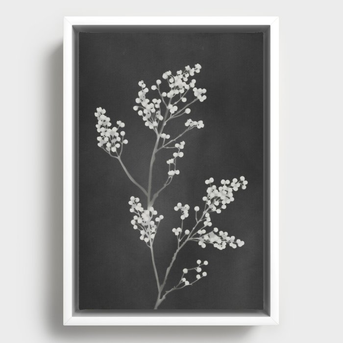 Monograph Black Framed Canvas