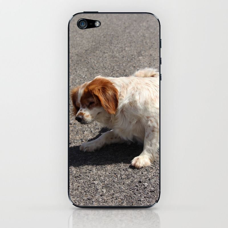 If You Have An Itch... Fuerteventura iPhone & iPod Skin by eddiebarron