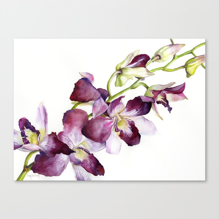 Radiant Orchids: Magenta Dendrobiums Canvas Print