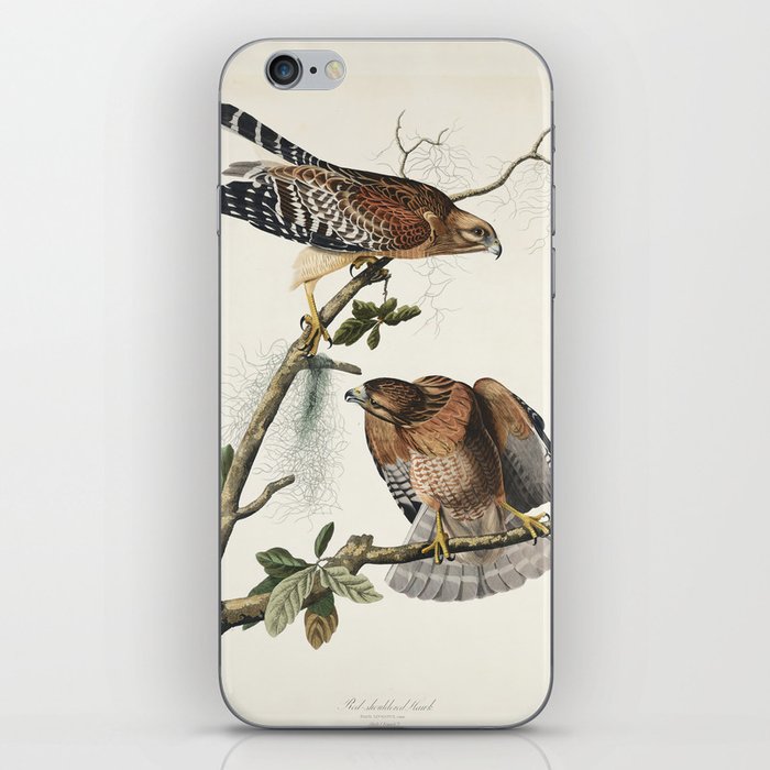 Red-shouldered Hawk from Birds of America (1827) by John James Audubon iPhone Skin