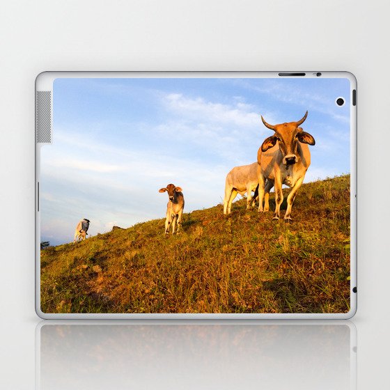 Mama and Baby Cows Stare Laptop & iPad Skin