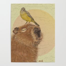 capybara | capivara Poster