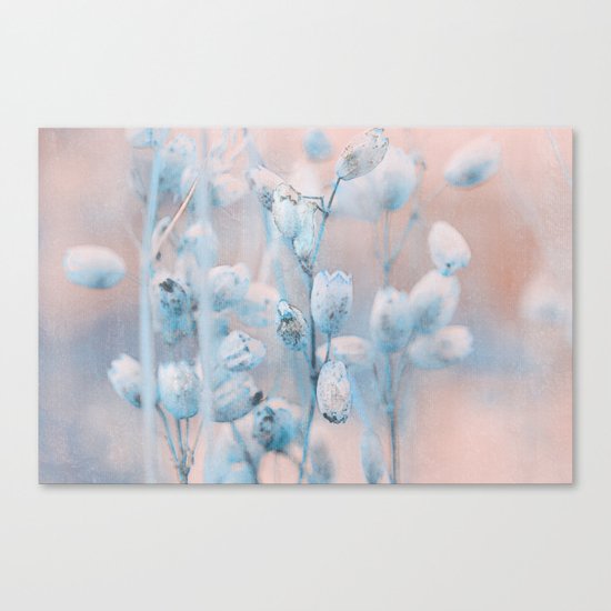Wild flowers(winter) Canvas Print