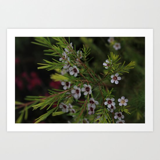 Something to Believe in Art Print