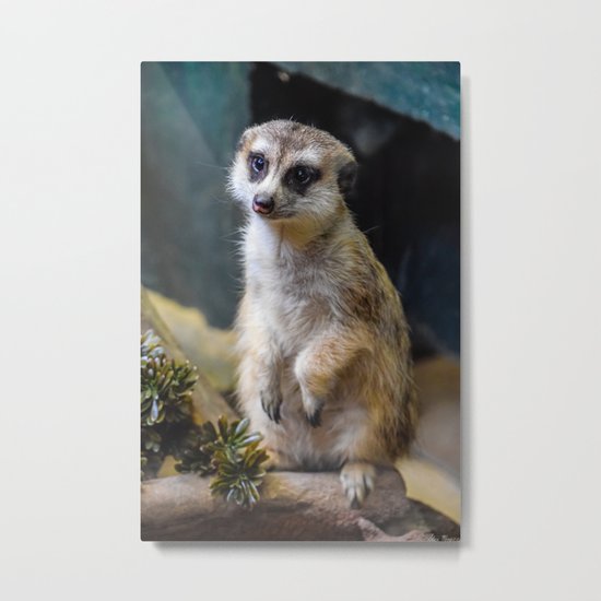 Huh? What'd you Say?? Metal Print