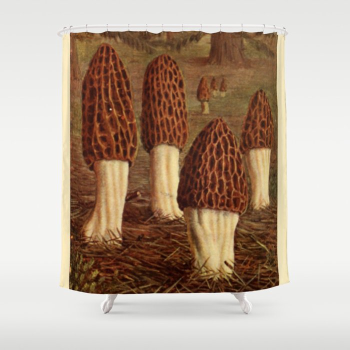 Morel Mushrooms Shower Curtain