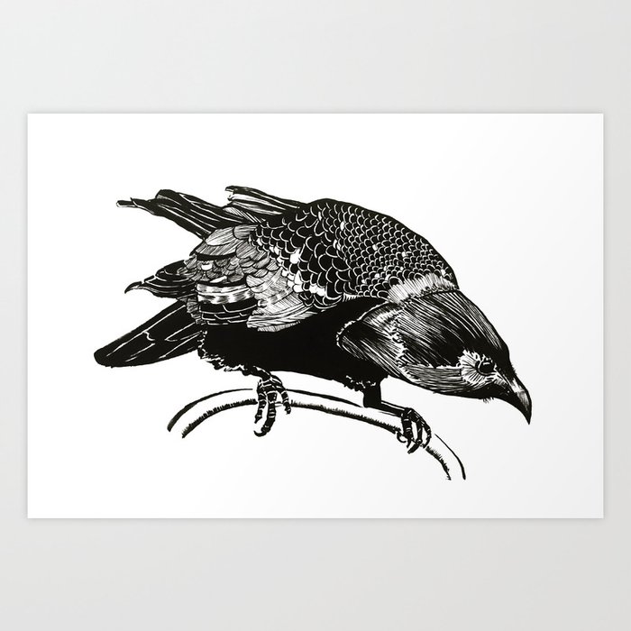 Watching crow Art Print