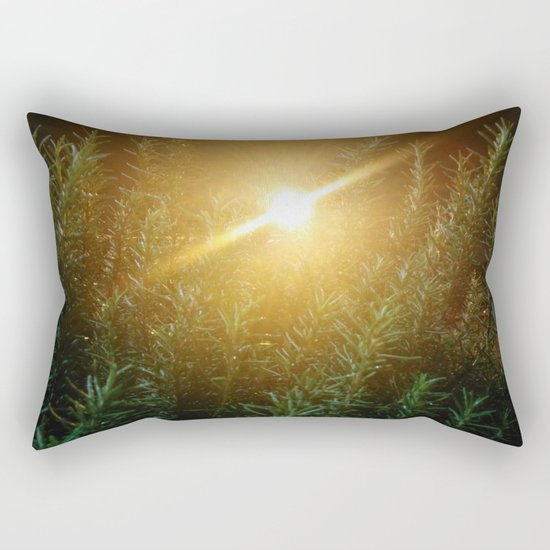 Rosemary Sunrise Rectangular Pillow