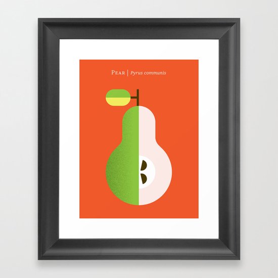 Fruit: Pear Framed Art Print